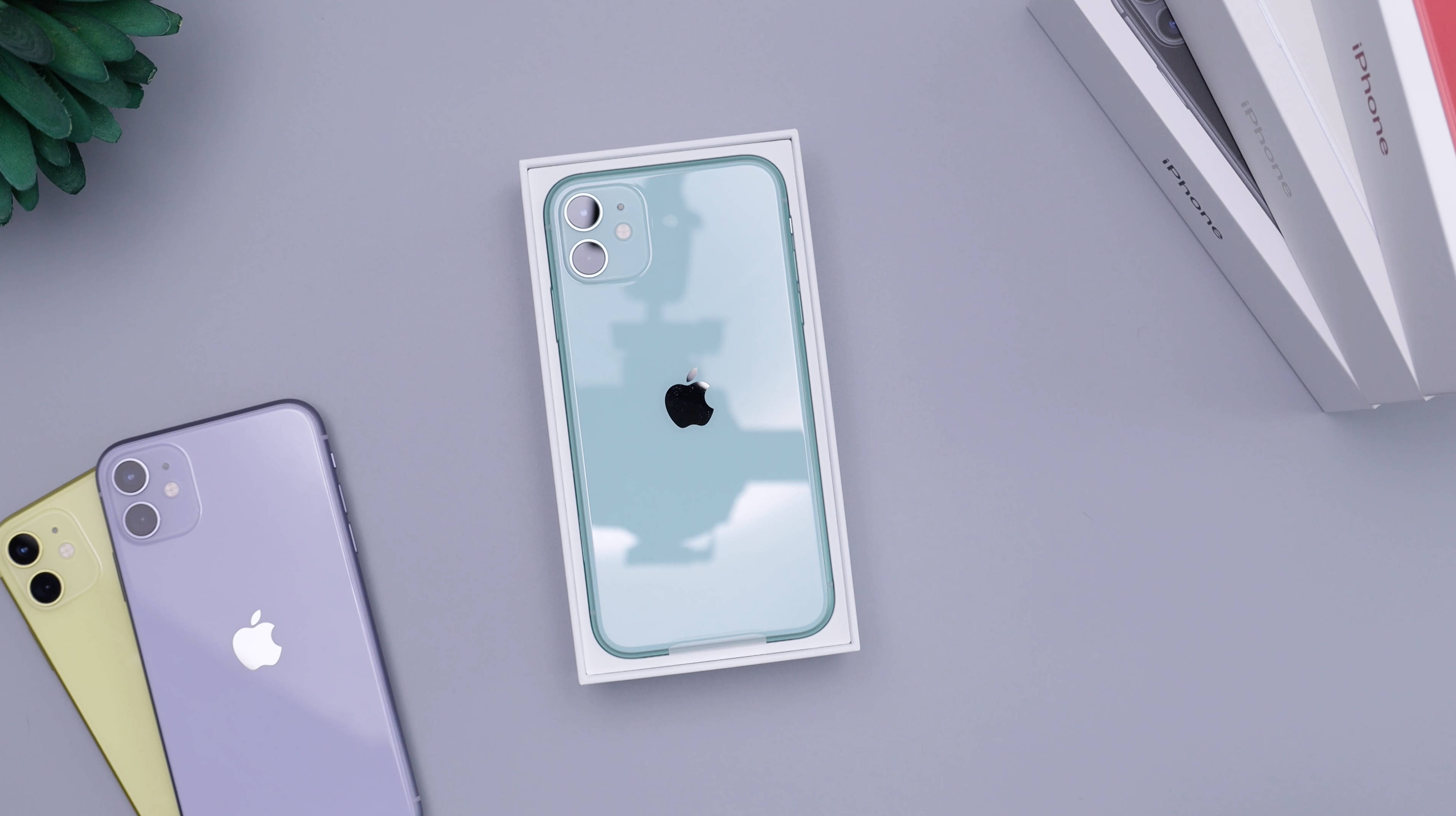 iPhone 11, light blue, purple and yellow iPhone, 2K Desktop Wallpaper