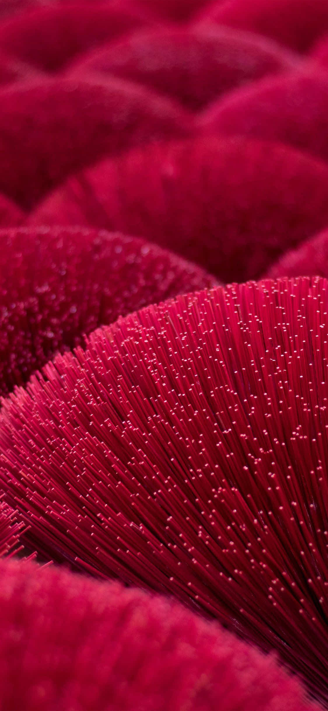 iPhone 11, red, crimson, Full HD Phone Wallpaper