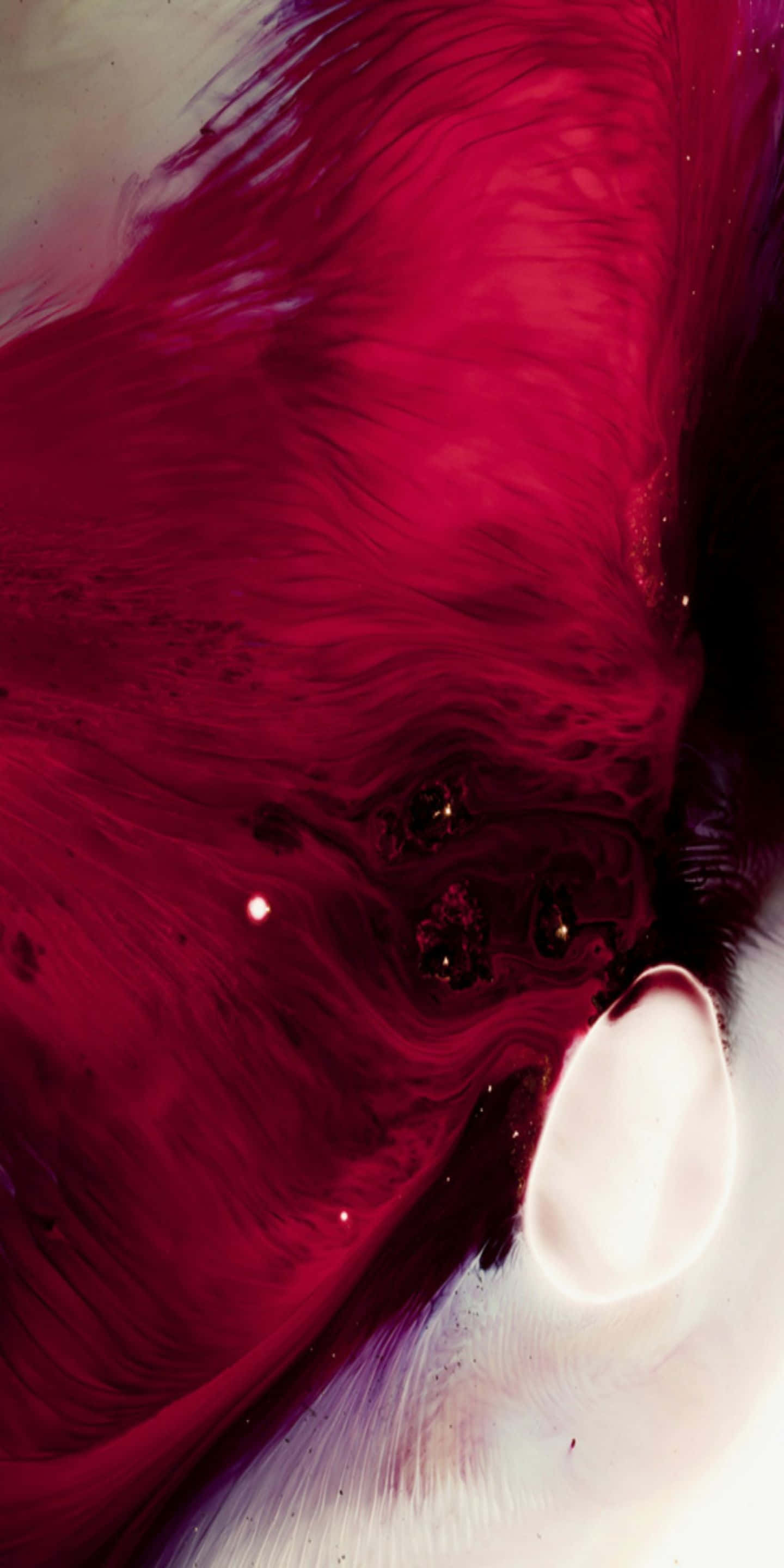 iPhone 11, red, fluid abstract composition, 2K Phone Wallpaper