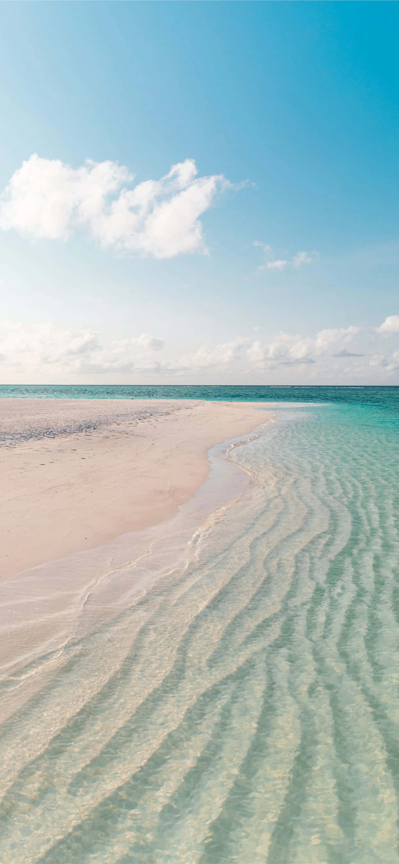 iPhone 12 Pro Max, reflective surface, tropical beach, 2K Phone Wallpaper