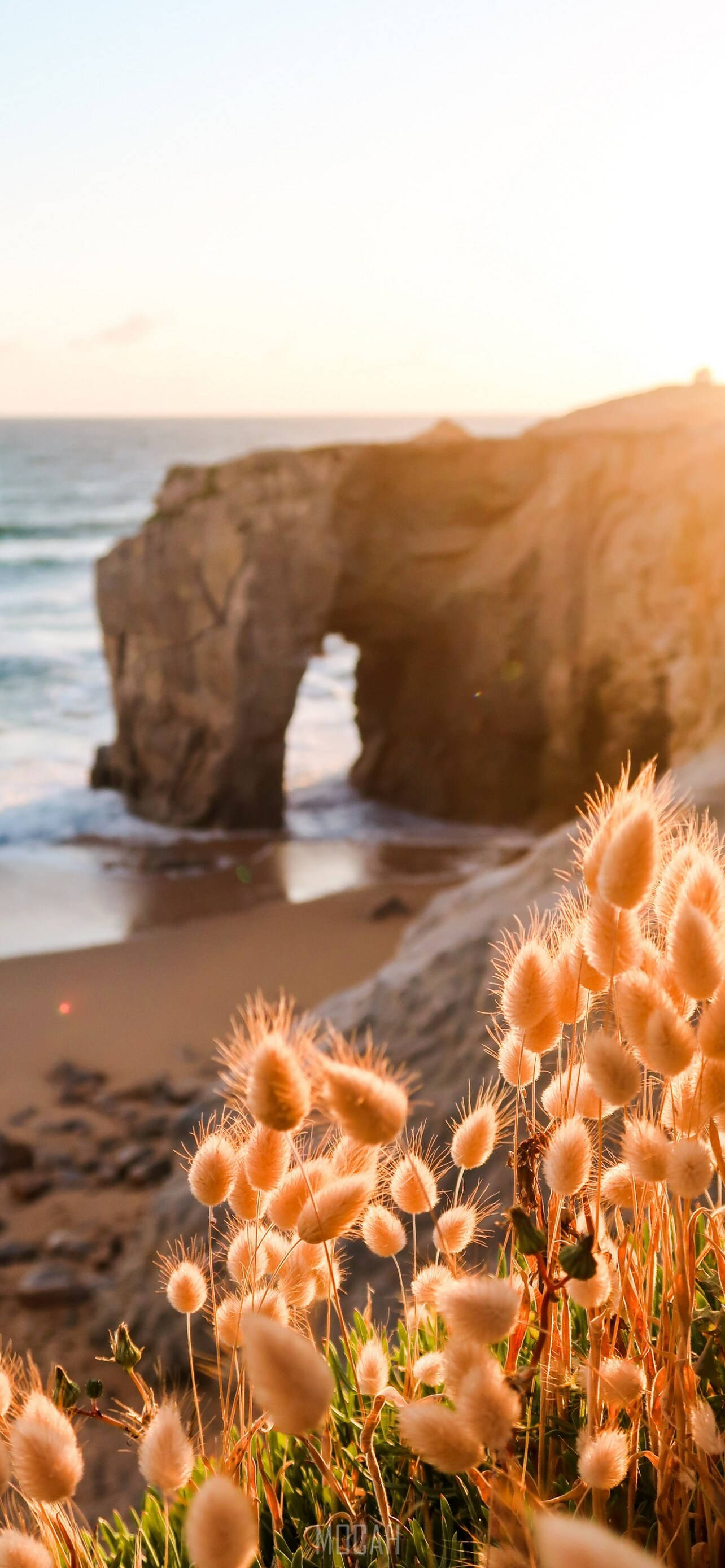 iPhone 12 Pro Max, beach shore, golden sunset, 2K Phone Wallpaper