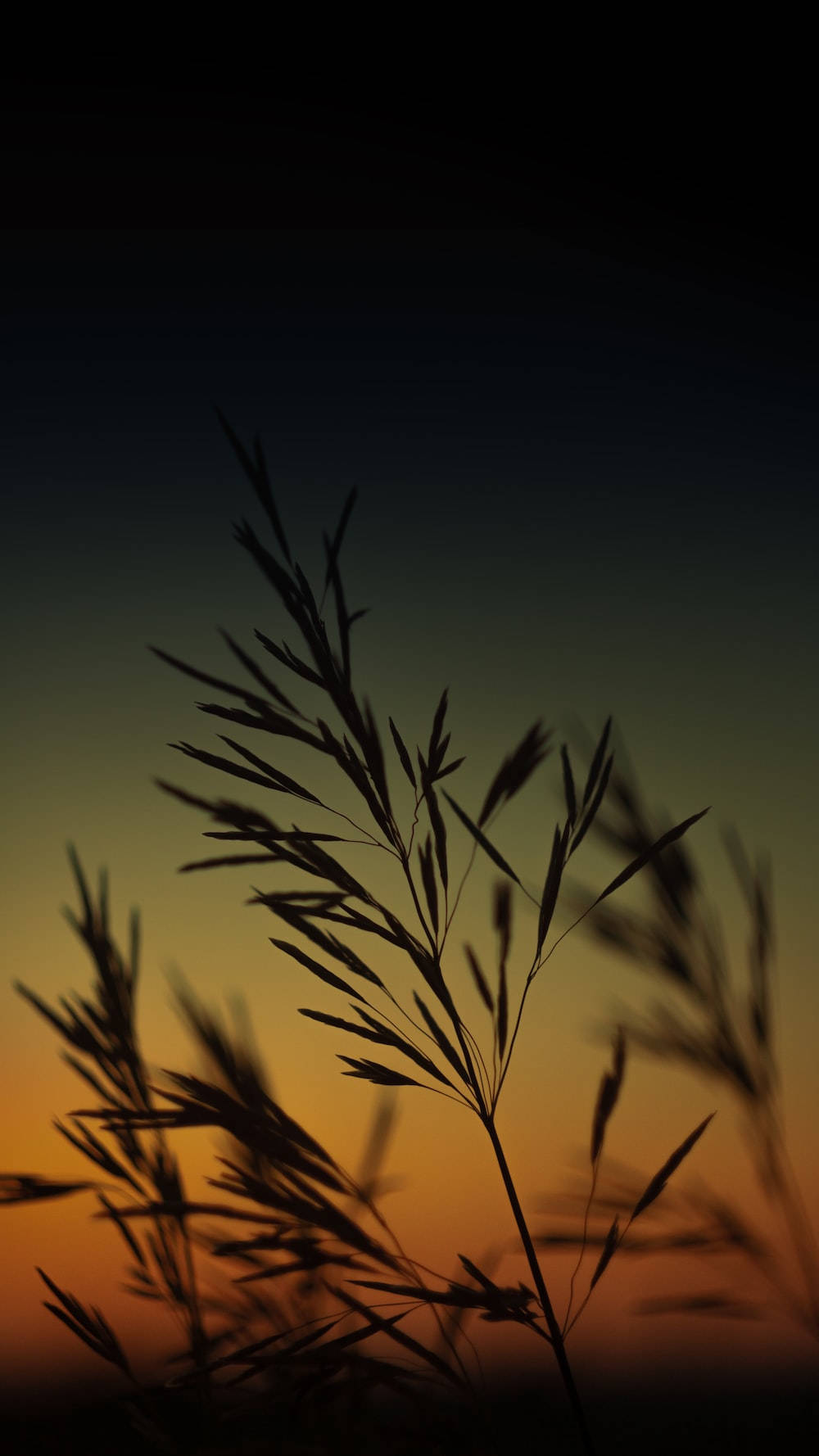 iPhone 12 Pro, gradient sunset sky, deep orange, HD Phone Wallpaper