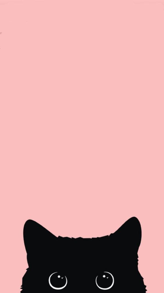 iPhone 12, black cat, silhouette, SD Phone Wallpaper