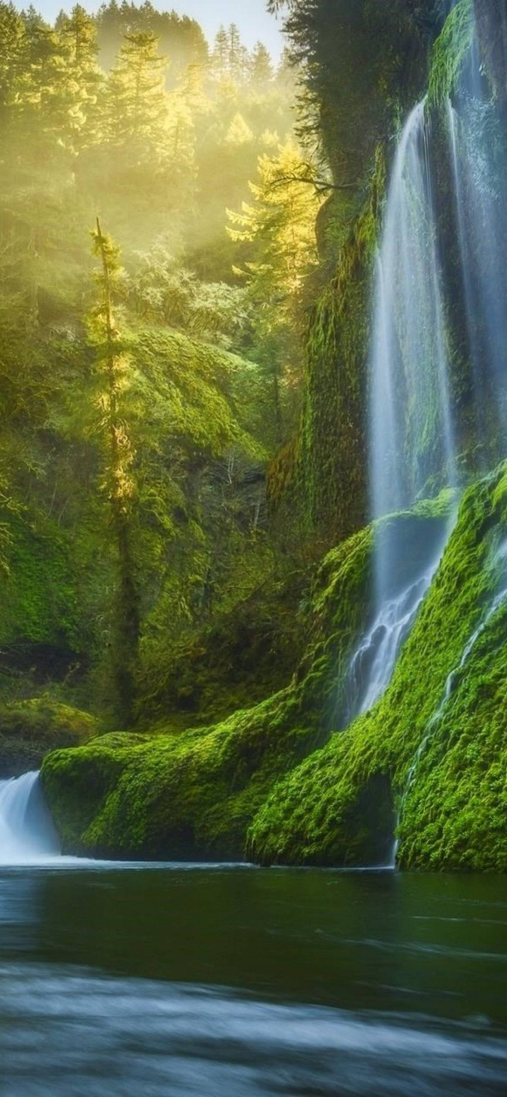 iPhone 13 Pro Max, waterfall, mossy cliffs, 4K Phone Wallpaper