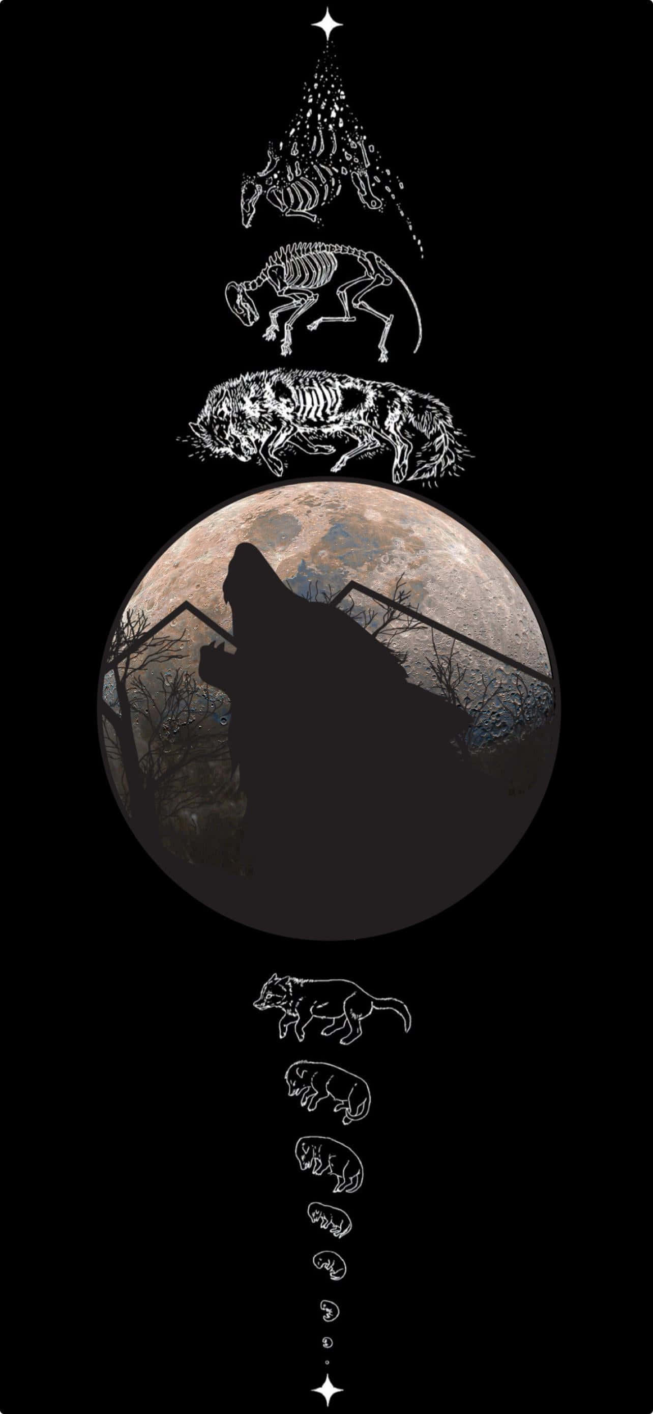iPhone 14 Plus, wolf, full moon, 2K Phone Wallpaper