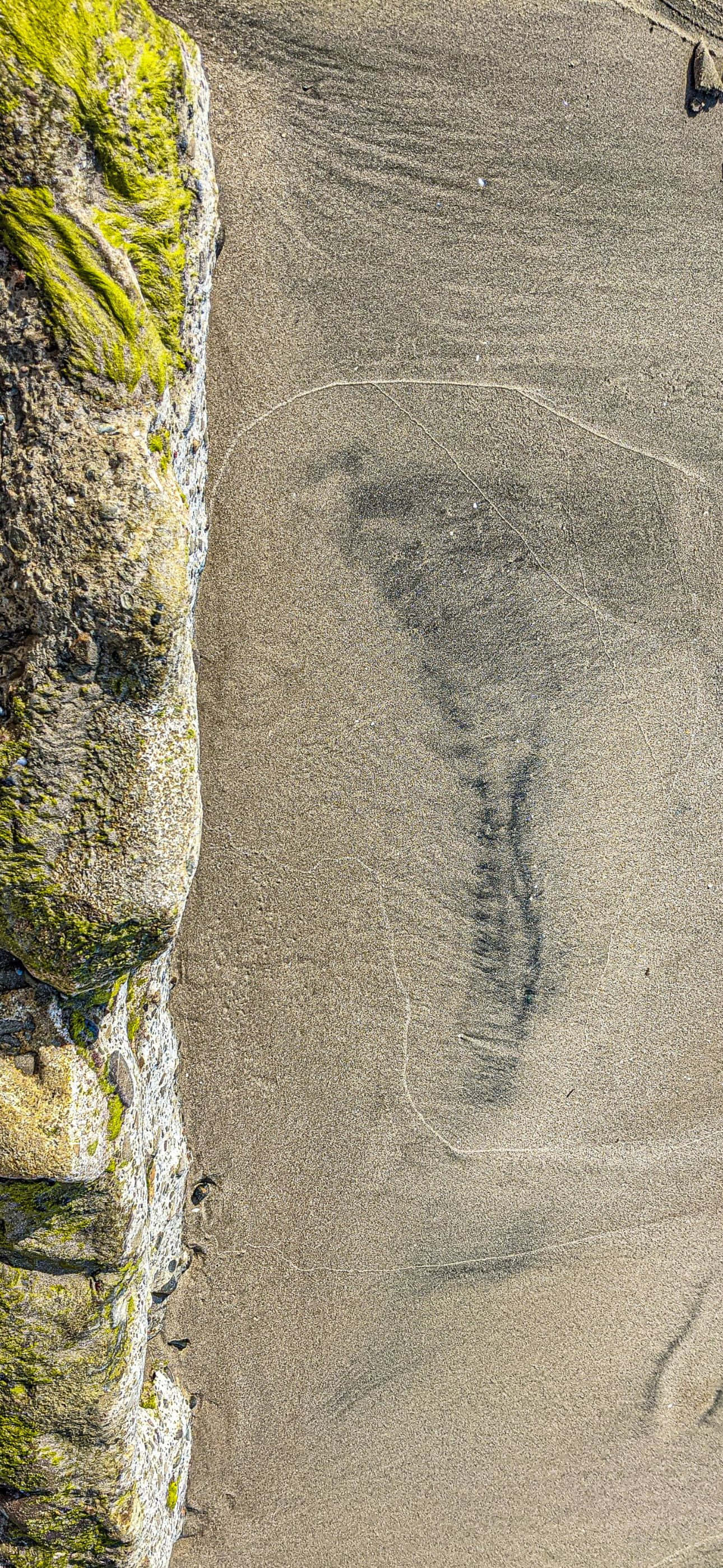 iPhone 14 Pro Max, aerial view, mossy cliff edge, 2K Phone Wallpaper