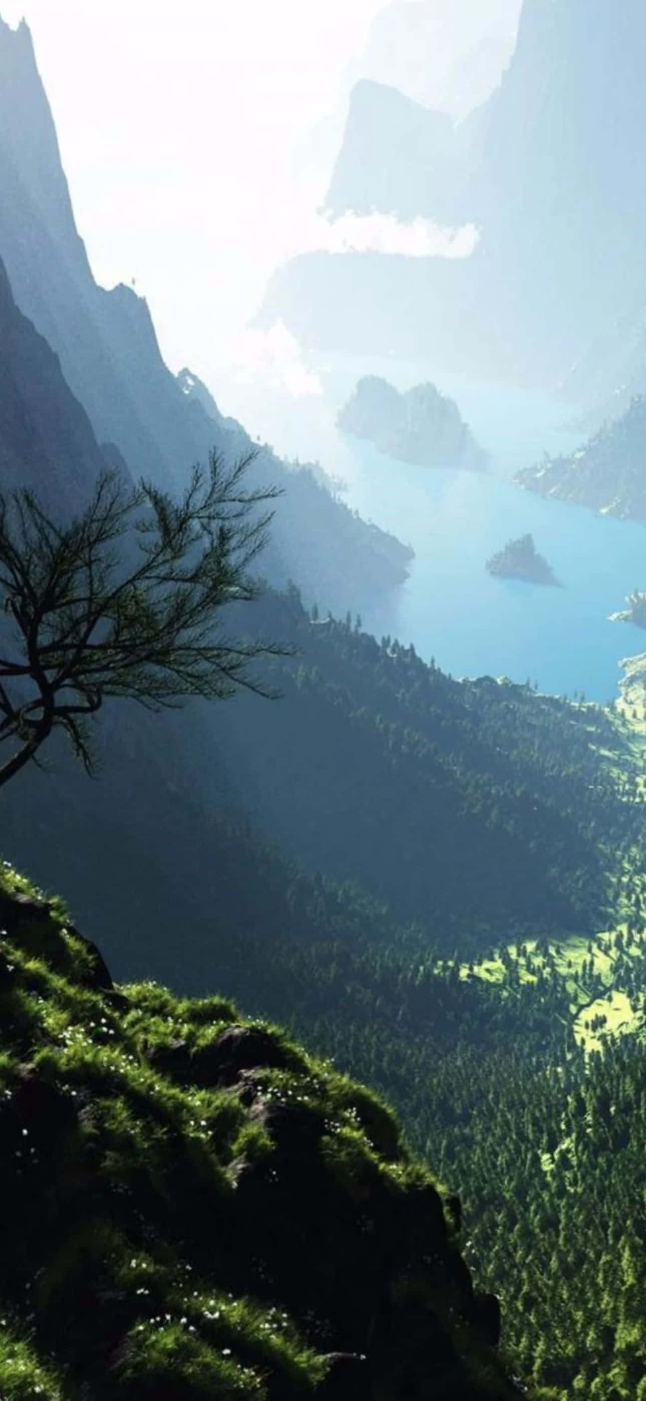 iPhone 14 Pro Max, mossy cliff, misty valley, 2K Phone Wallpaper