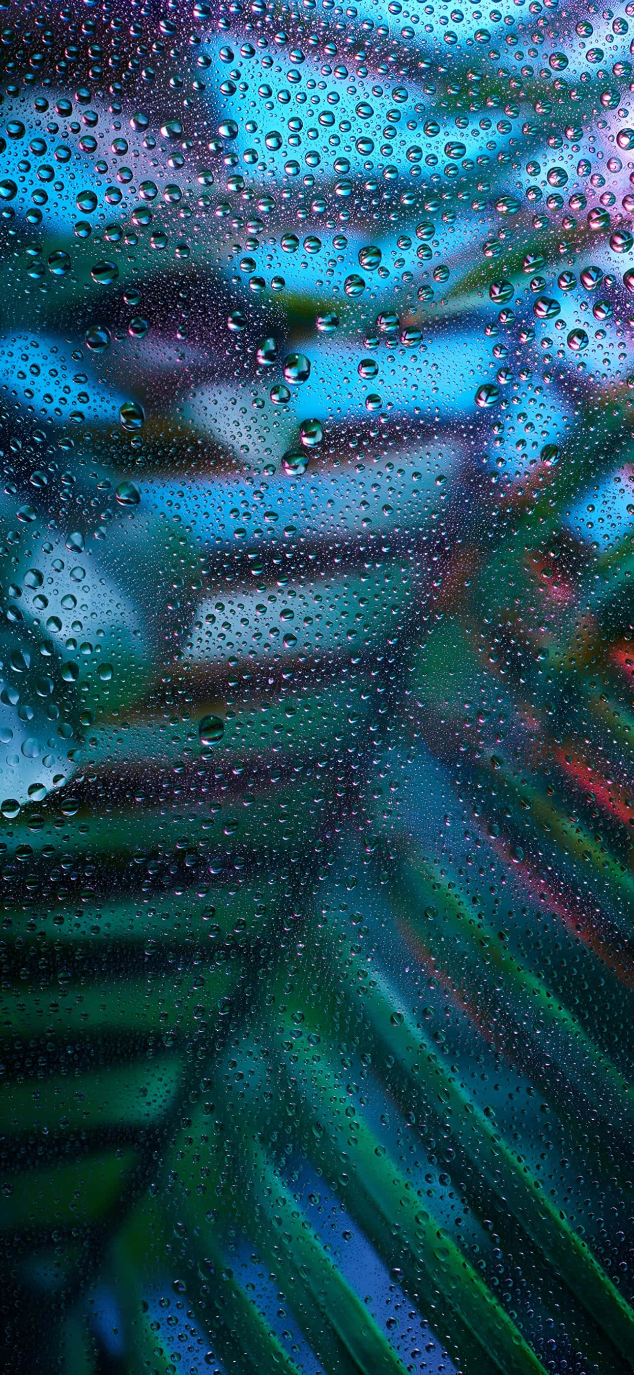 iPhone 16 Plus, teal blue, emerald green, 2K Phone Wallpaper