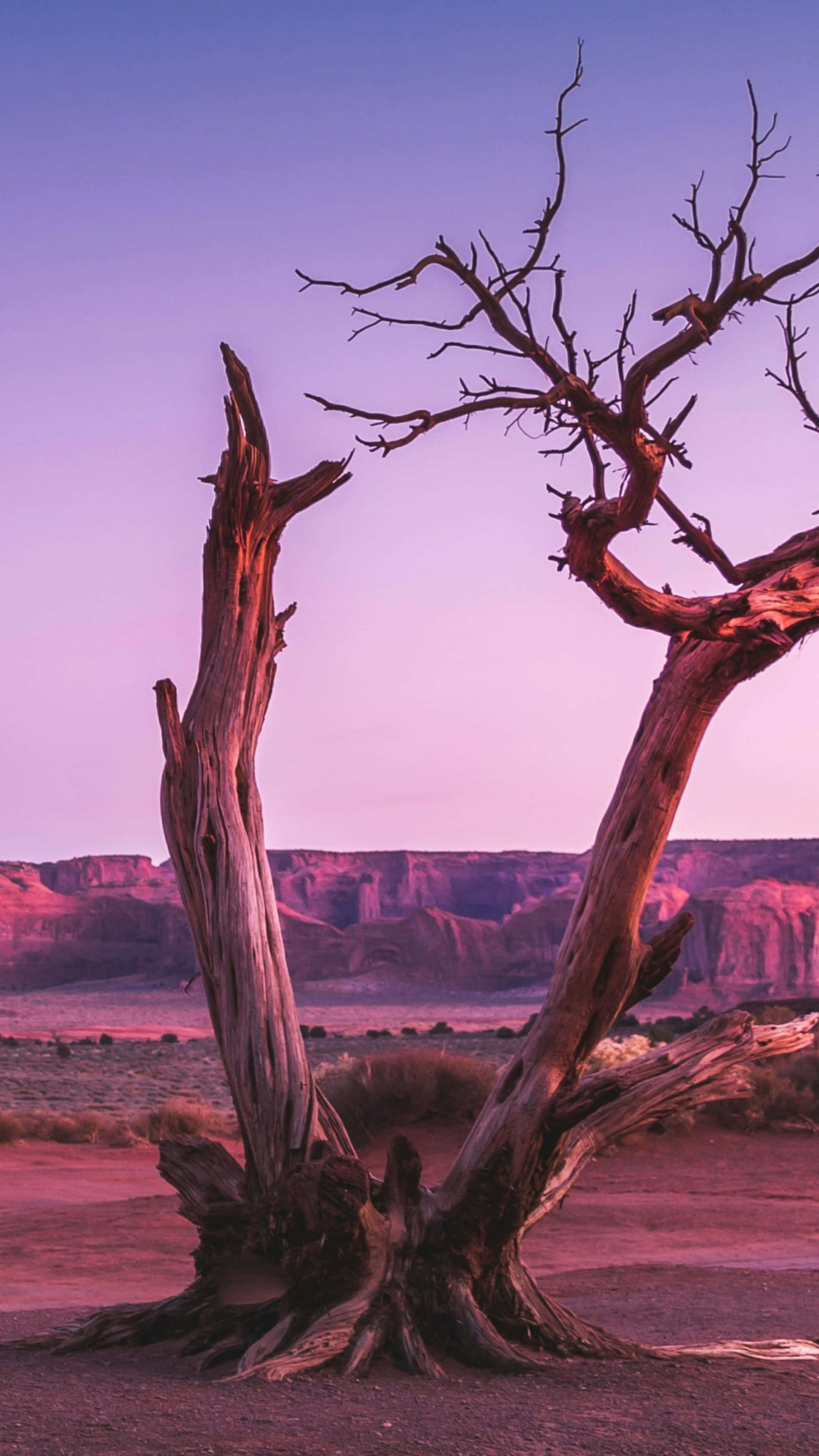iPhone 16 Pro, purple sunset, desert canyon, 4K Phone Wallpaper