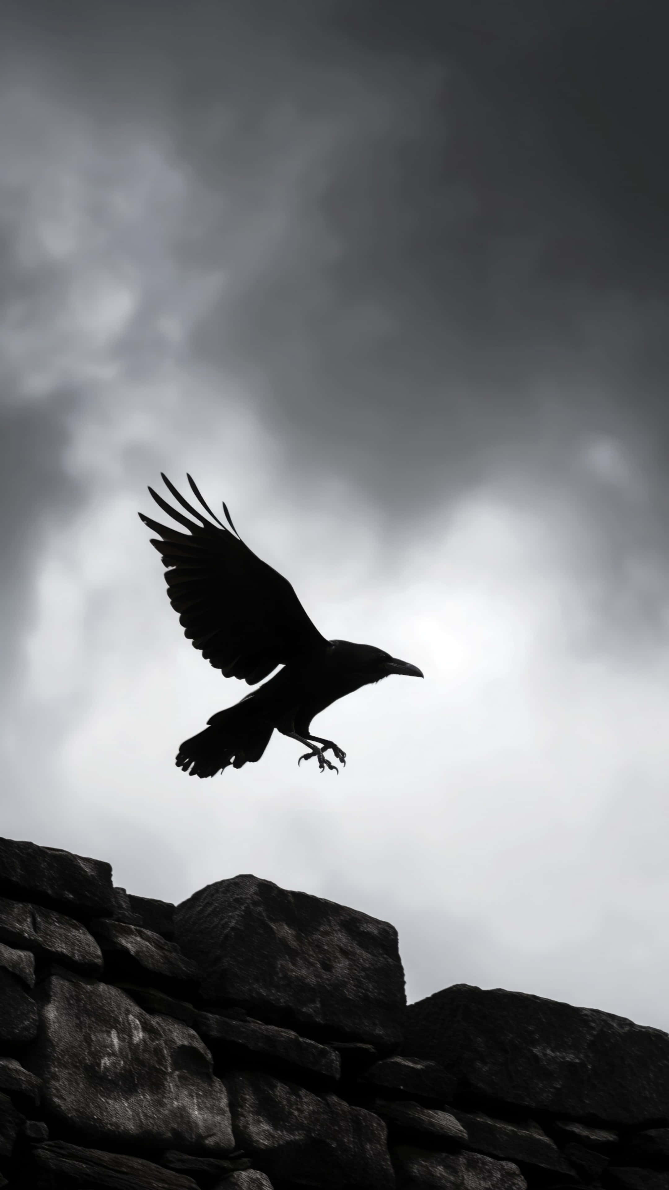 iPhone 16 Pro, black crow, cloudy sky, 4K Phone Wallpaper