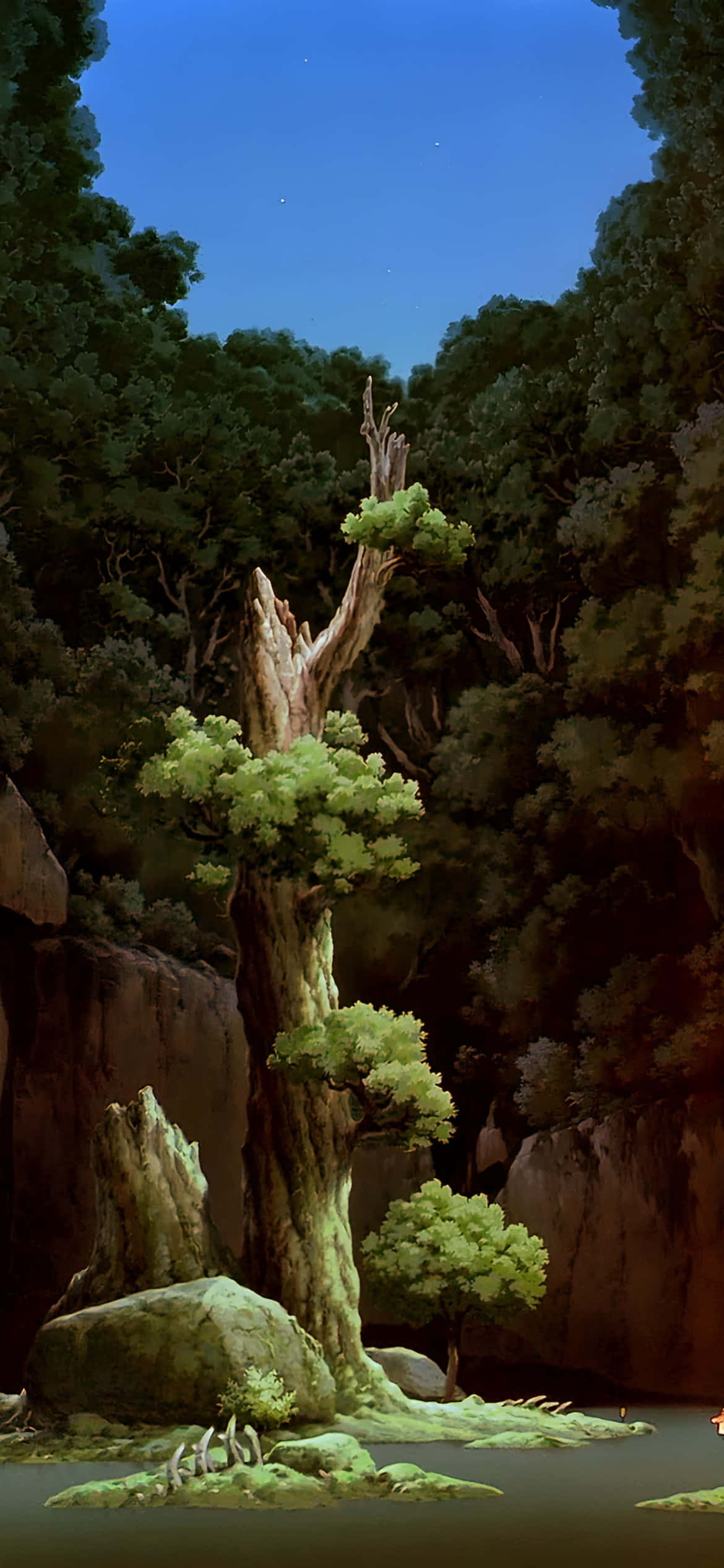 iPhone 16e, ancient tree, vibrant green foliage, Full HD Phone Wallpaper