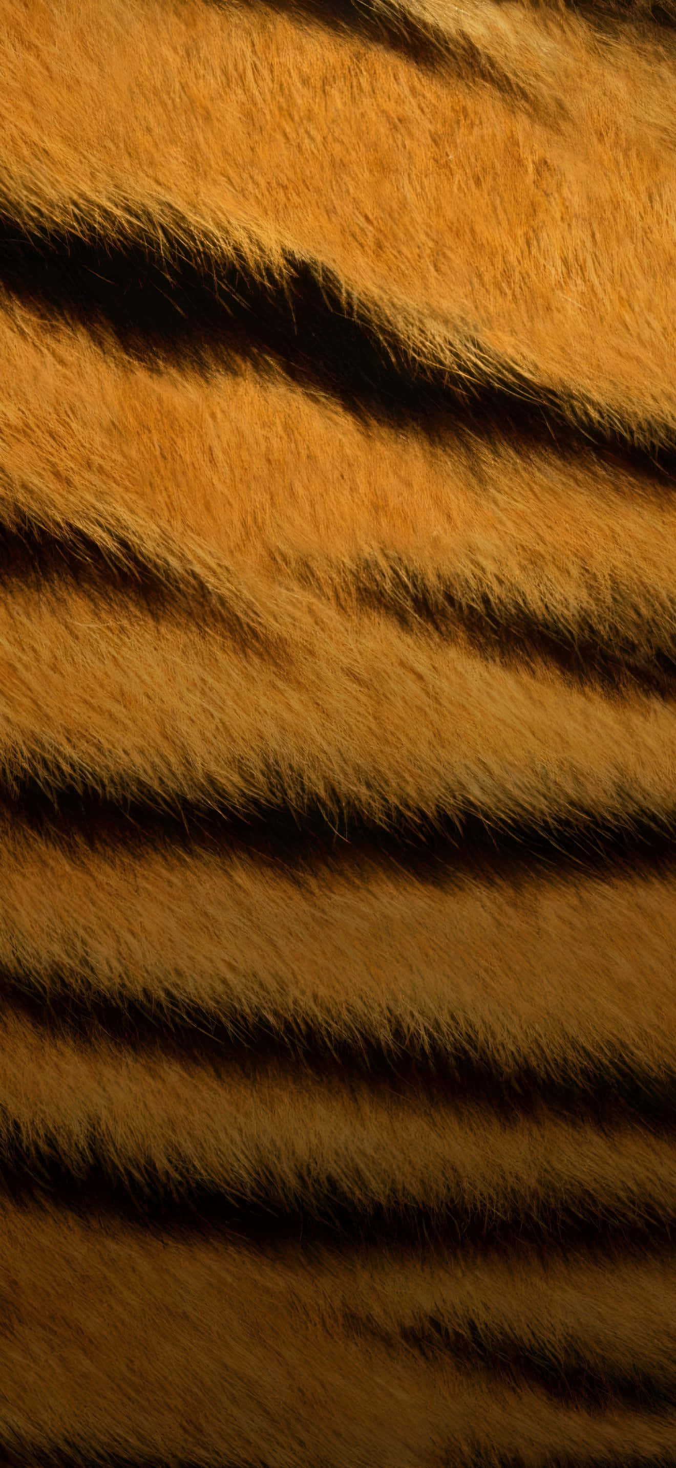 iPhone 17 Pro Max, tiger fur, orange stripes, 2K Phone Wallpaper
