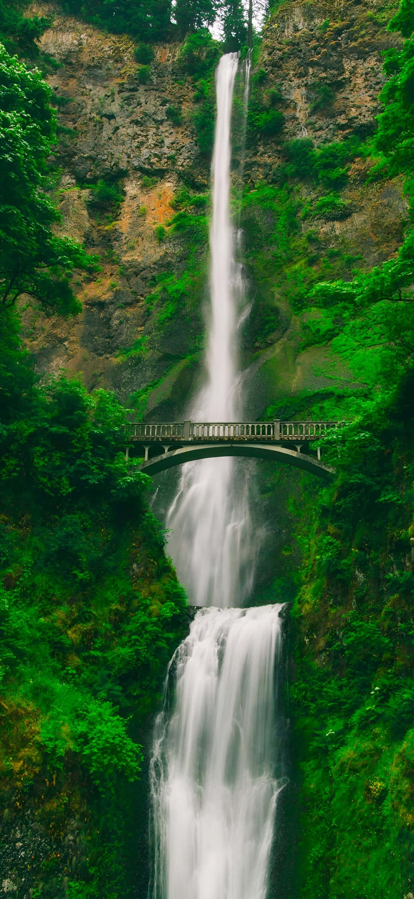 iPhone 17 Pro Max, waterfall, mossy cliff, 2K Phone Wallpaper