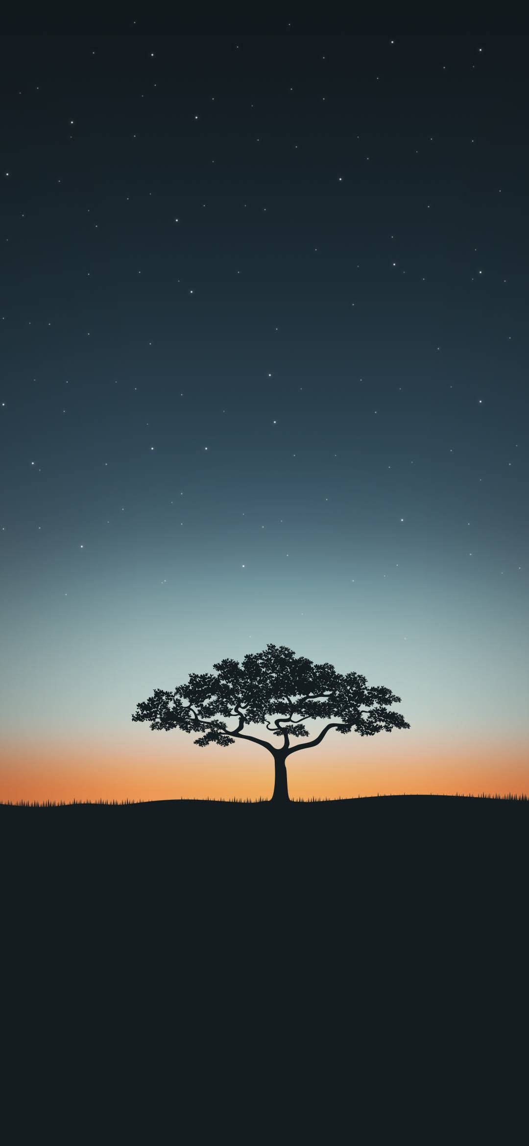 tree silhouette, hill, starry twilight sky, Full HD Phone Wallpaper