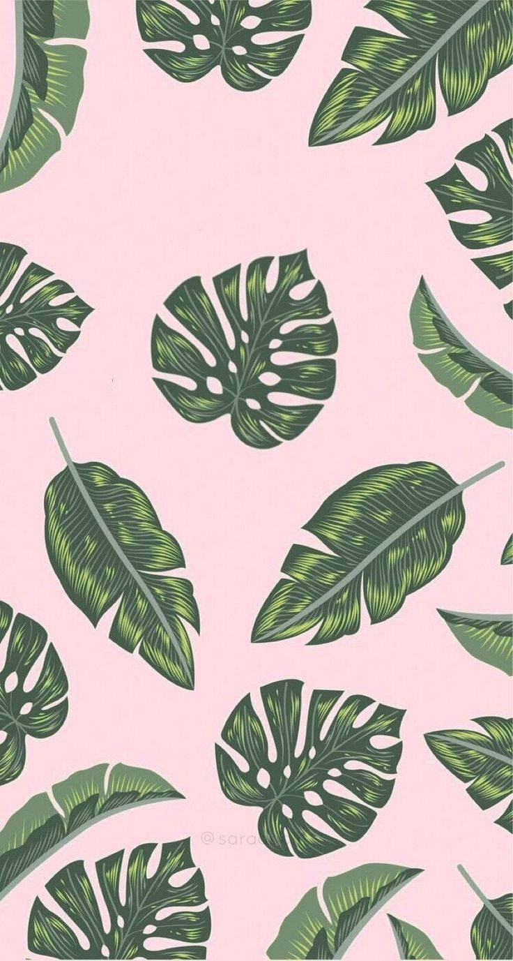 iPhone 2021, green leaves, monstera, HD Phone Wallpaper