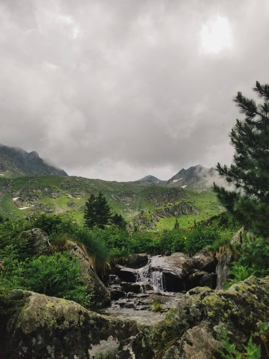 iPhone 4, river stream, mossy rocks, HD Phone Wallpaper