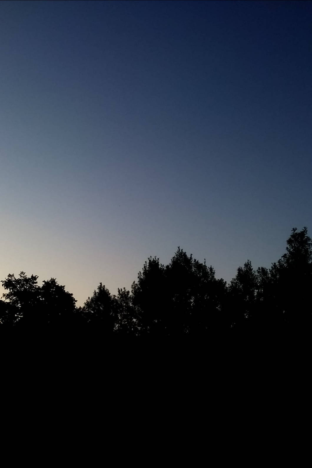 iPhone 4s, tree silhouette, twilight sky, HD Phone Wallpaper