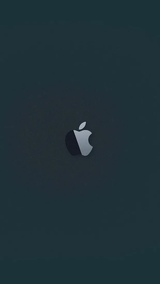 iPhone 5s
