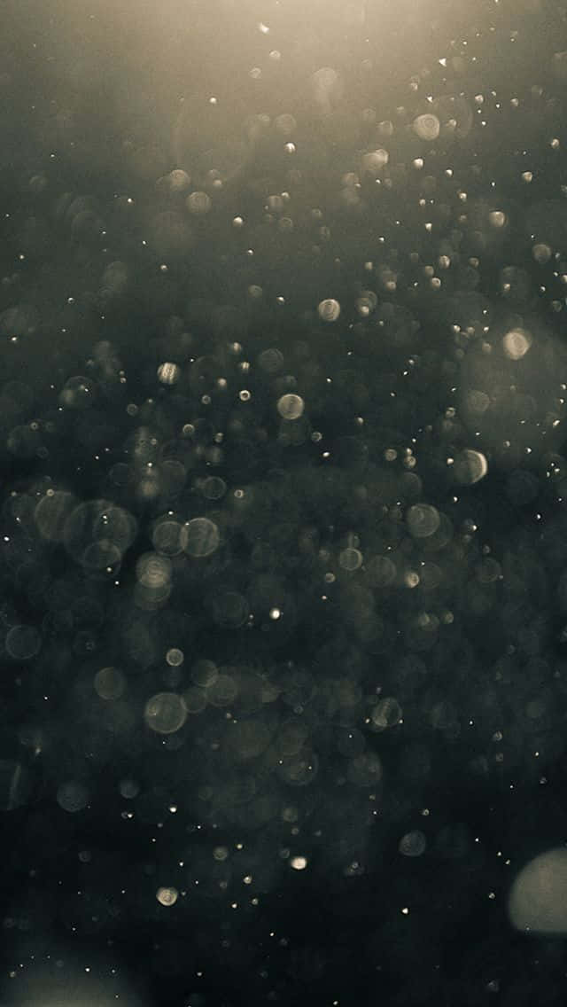 iPhone 5s, golden light, dark water, SD Phone Wallpaper