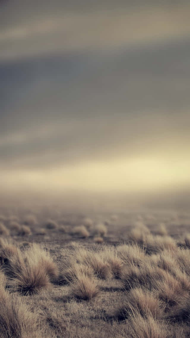 iPhone 5s, 640 x 1136, mist, SD Phone Wallpaper