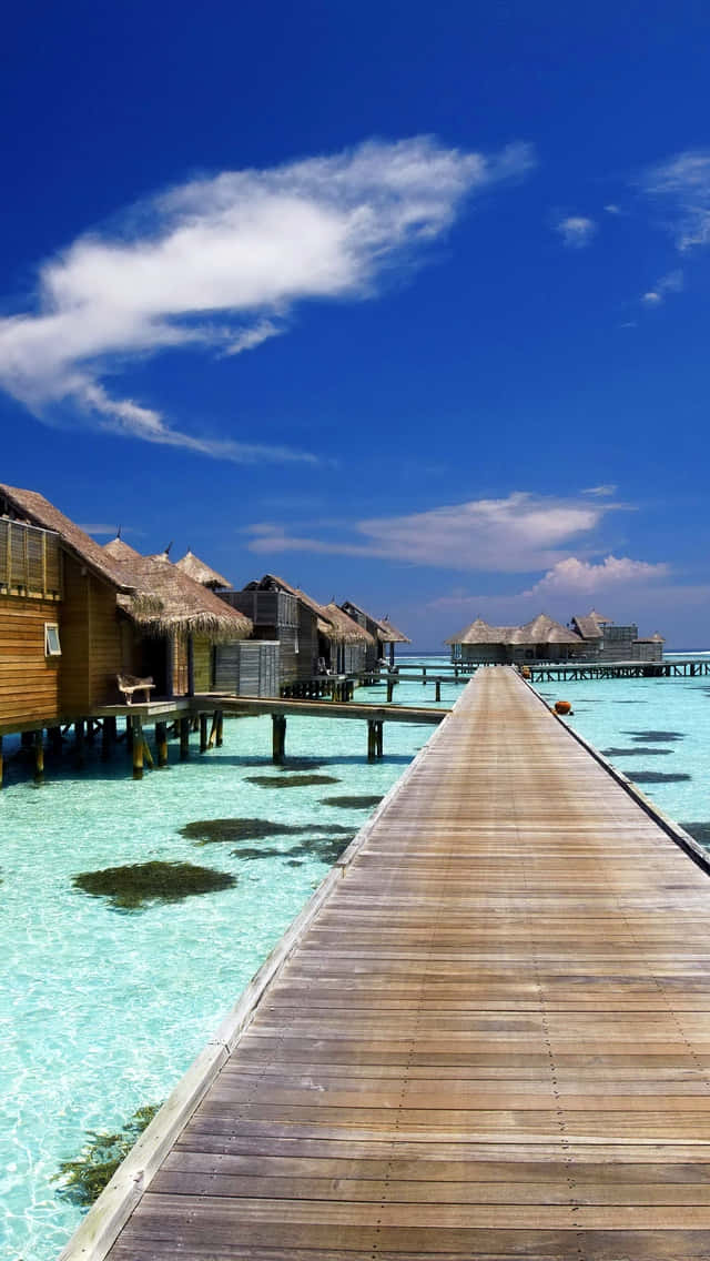 iPhone 5s, 640 x 1136, wooden pier, SD Phone Wallpaper