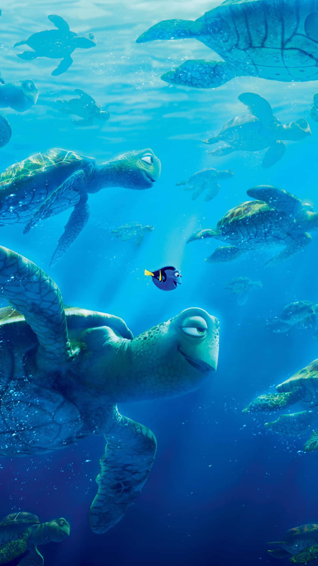 iPhone 6 Plus, turtle, sunlit blue ocean, Full HD Phone Wallpaper