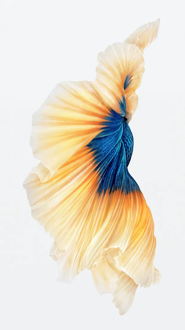 iPhone 6s Live