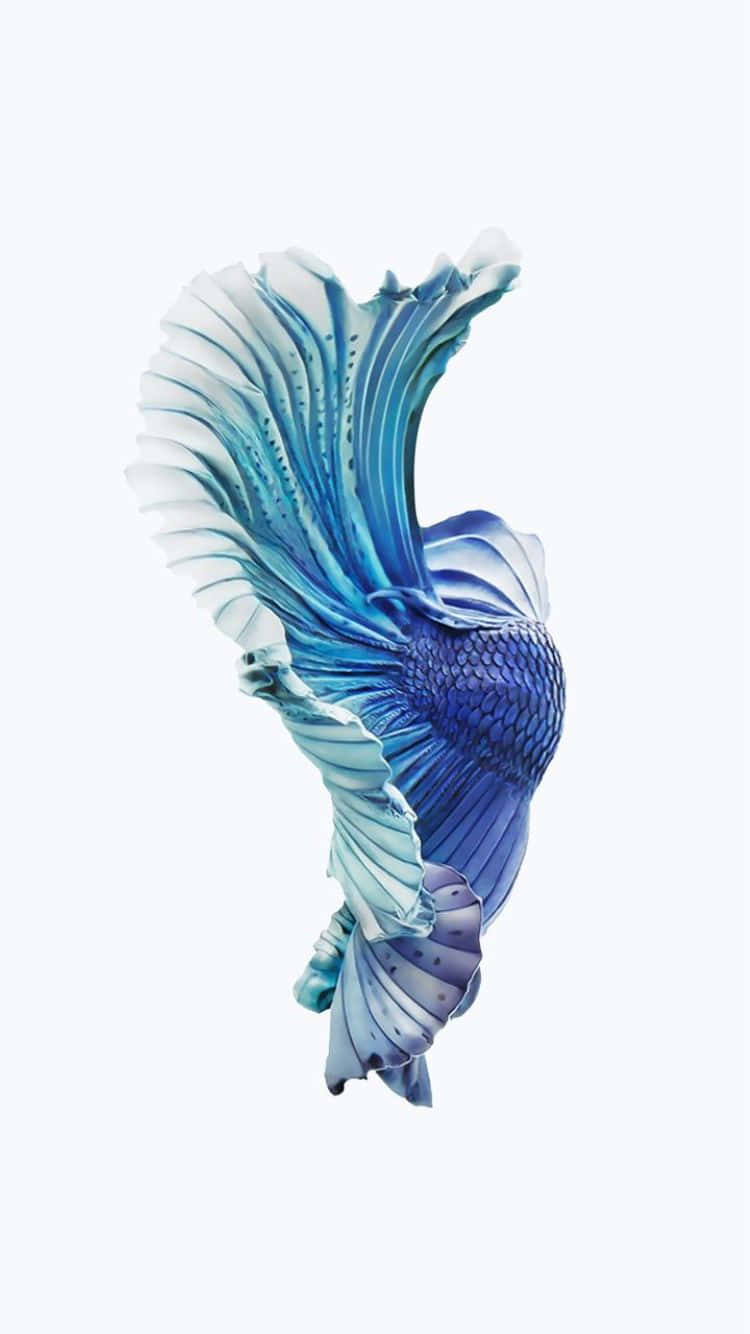 iPhone 6s, blue betta fish, flowing fins, HD Phone Wallpaper