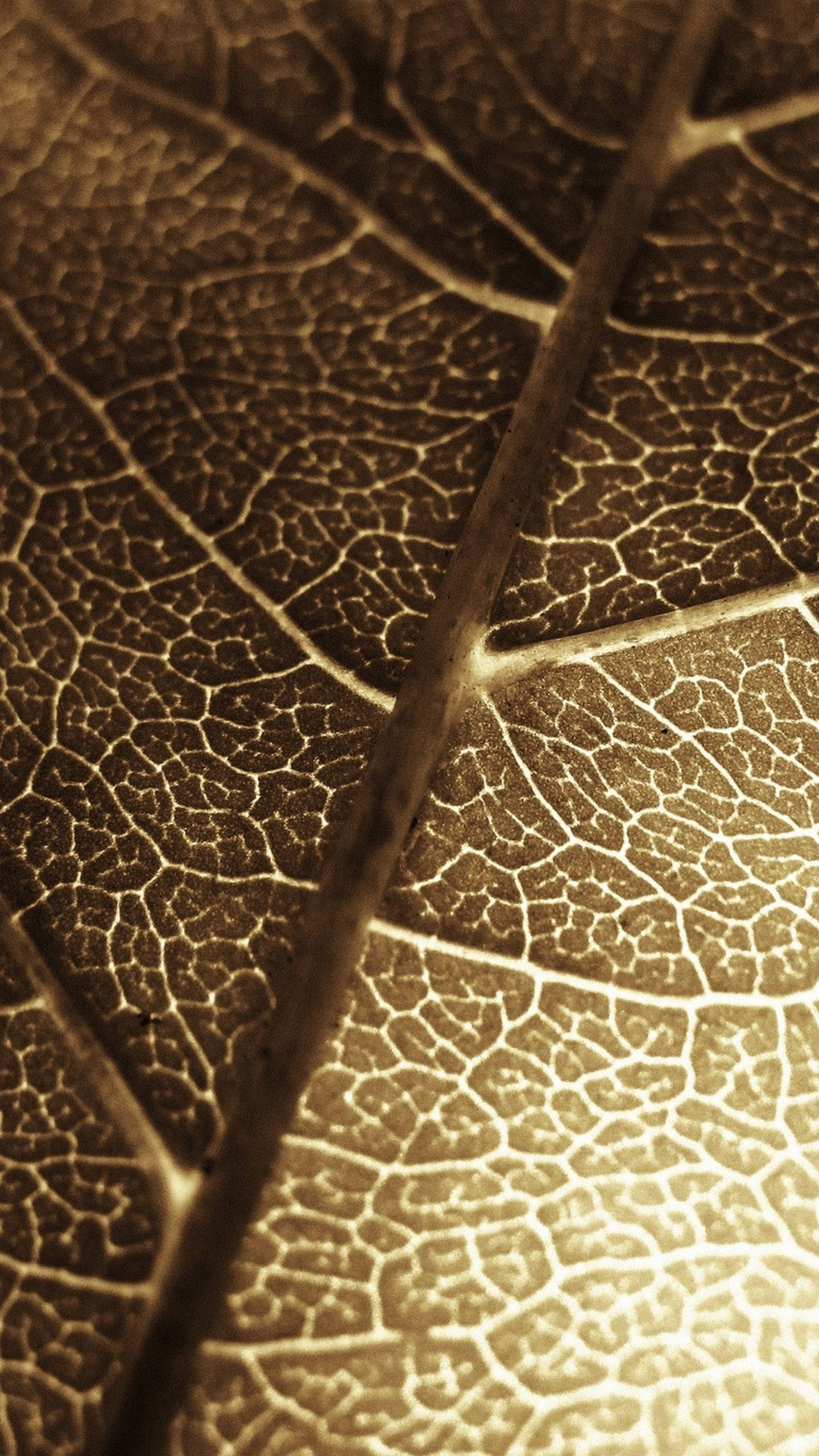 iPhone 6s, gold, golden light, 2K Phone Wallpaper