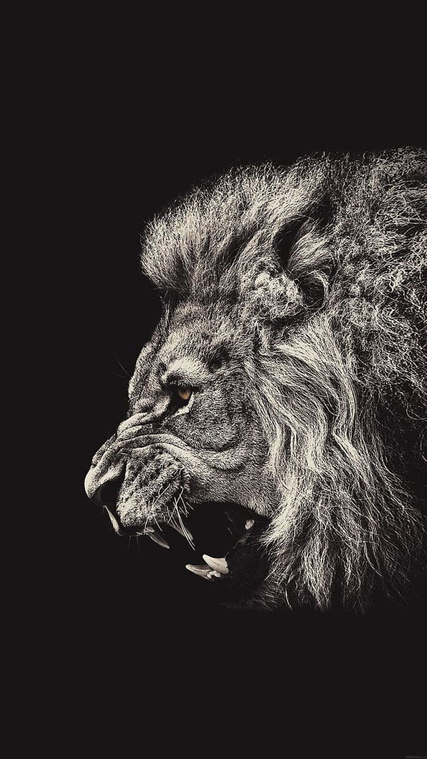 iPhone 7 Plus, lion's head, black background, HD Phone Wallpaper