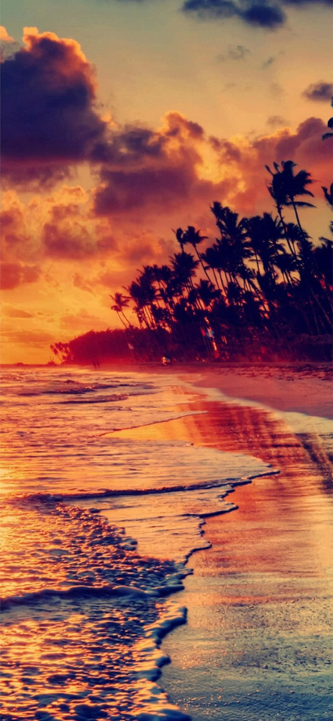 iPhone 7 Plus, sunset, ocean, 2K Phone Wallpaper