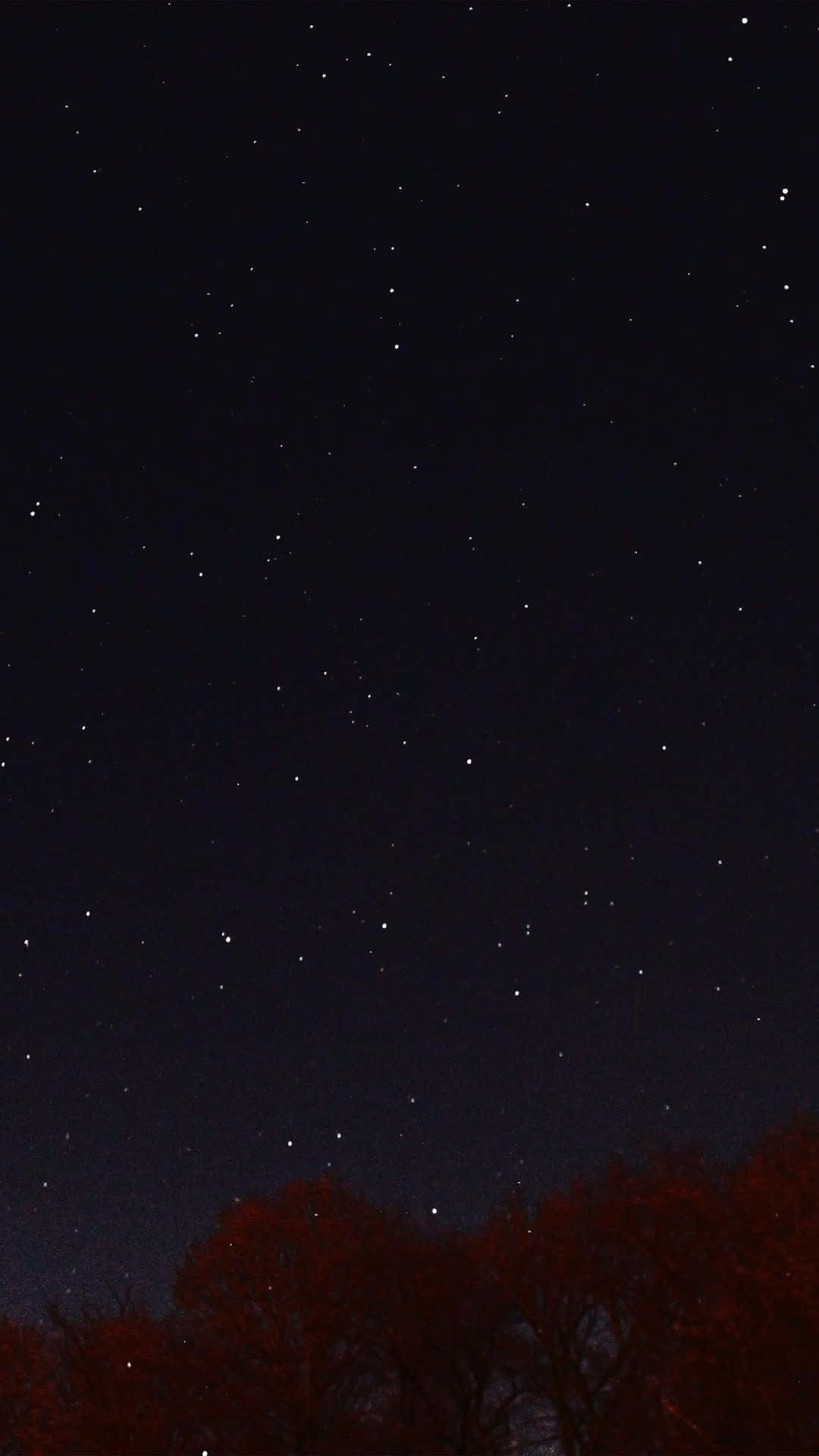 iPhone 8 Plus, starry night sky, dark silhouetted trees, Full HD Phone Wallpaper
