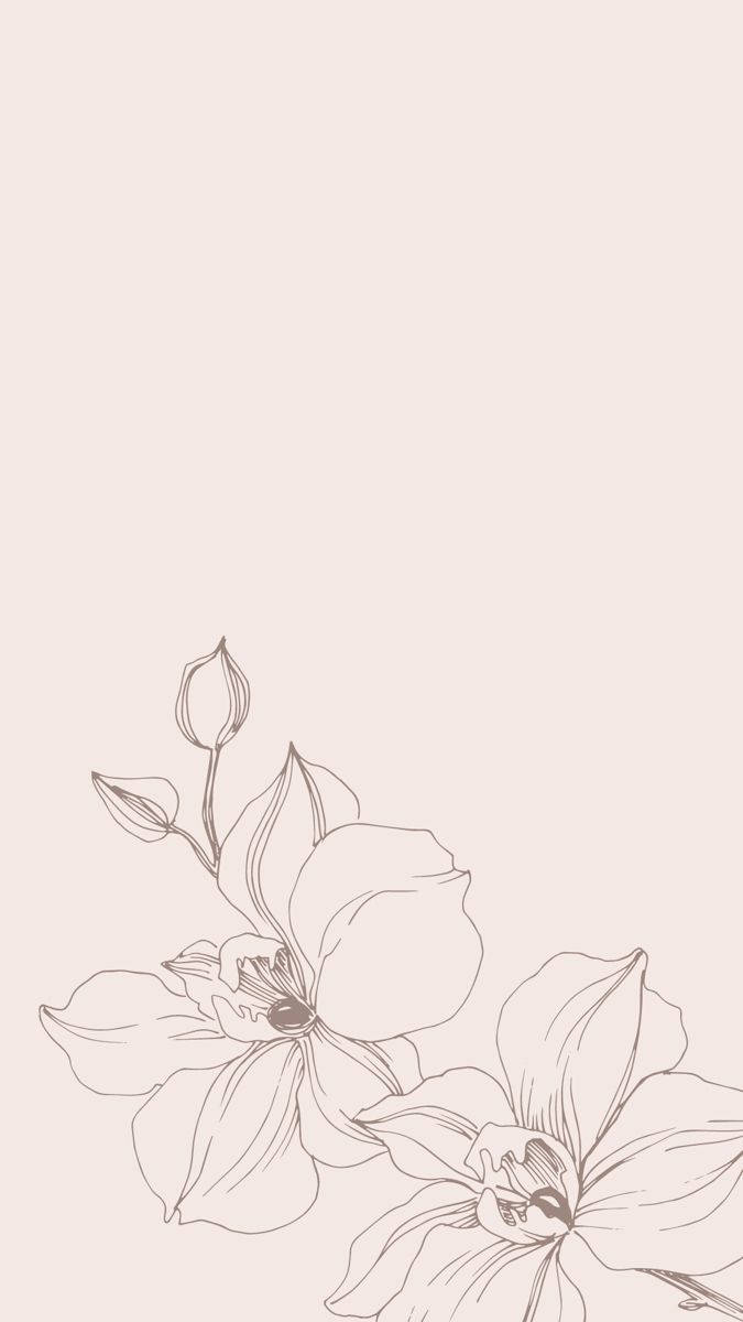 iPhone, orchids, buds, SD Phone Wallpaper