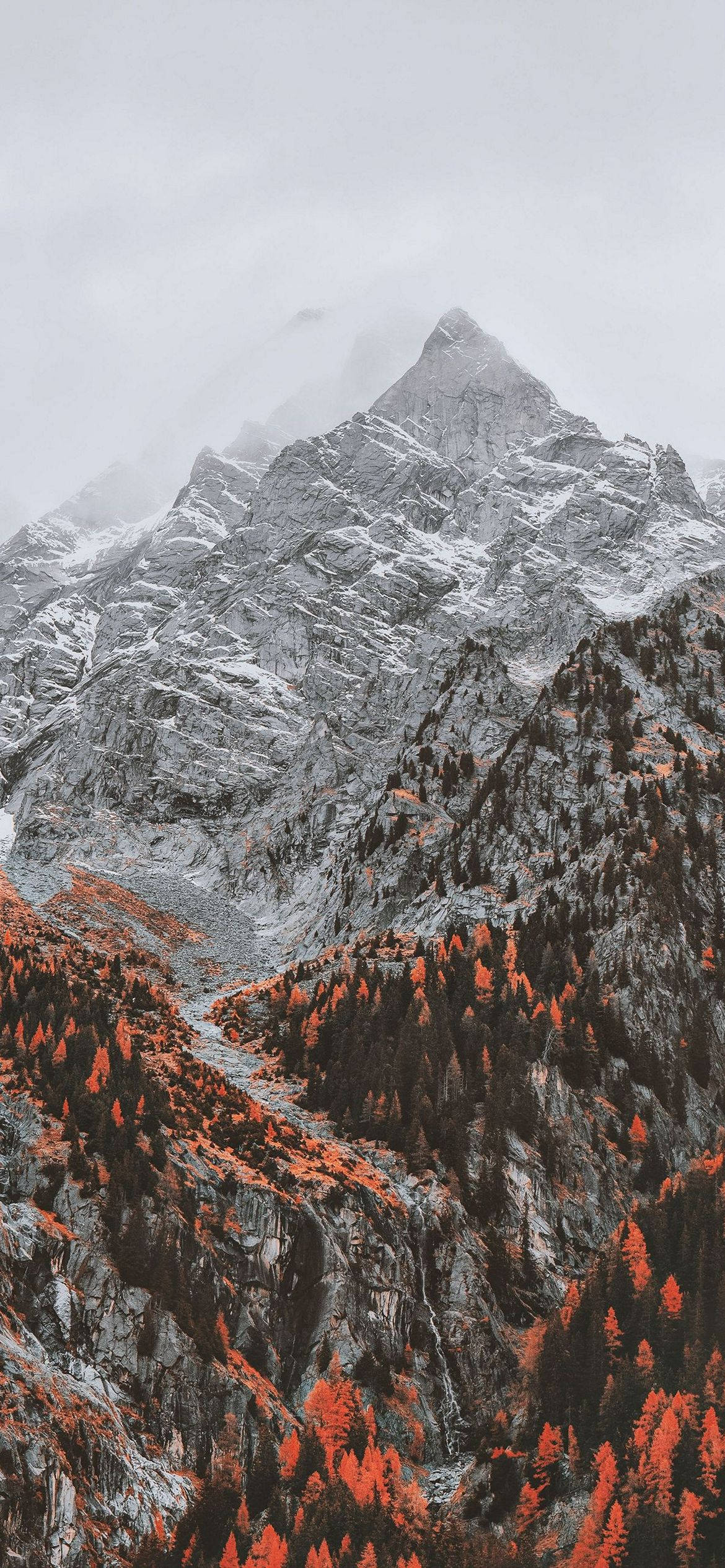 Red Tree Mountain, iPhone AMOLED, snow-capped mountain peak, Full HD Phone Wallpaper