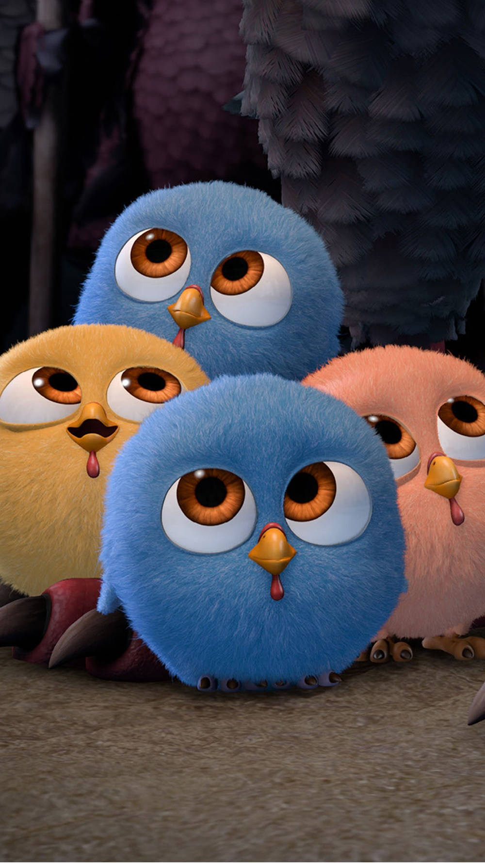 iPhone Animation, fluffy cartoon birds, big round eyes, HD Phone Wallpaper