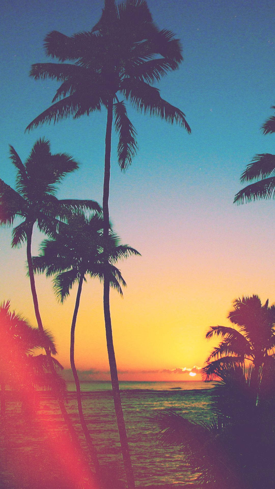 iPhone California, palm trees, sunset, Full HD Phone Wallpaper