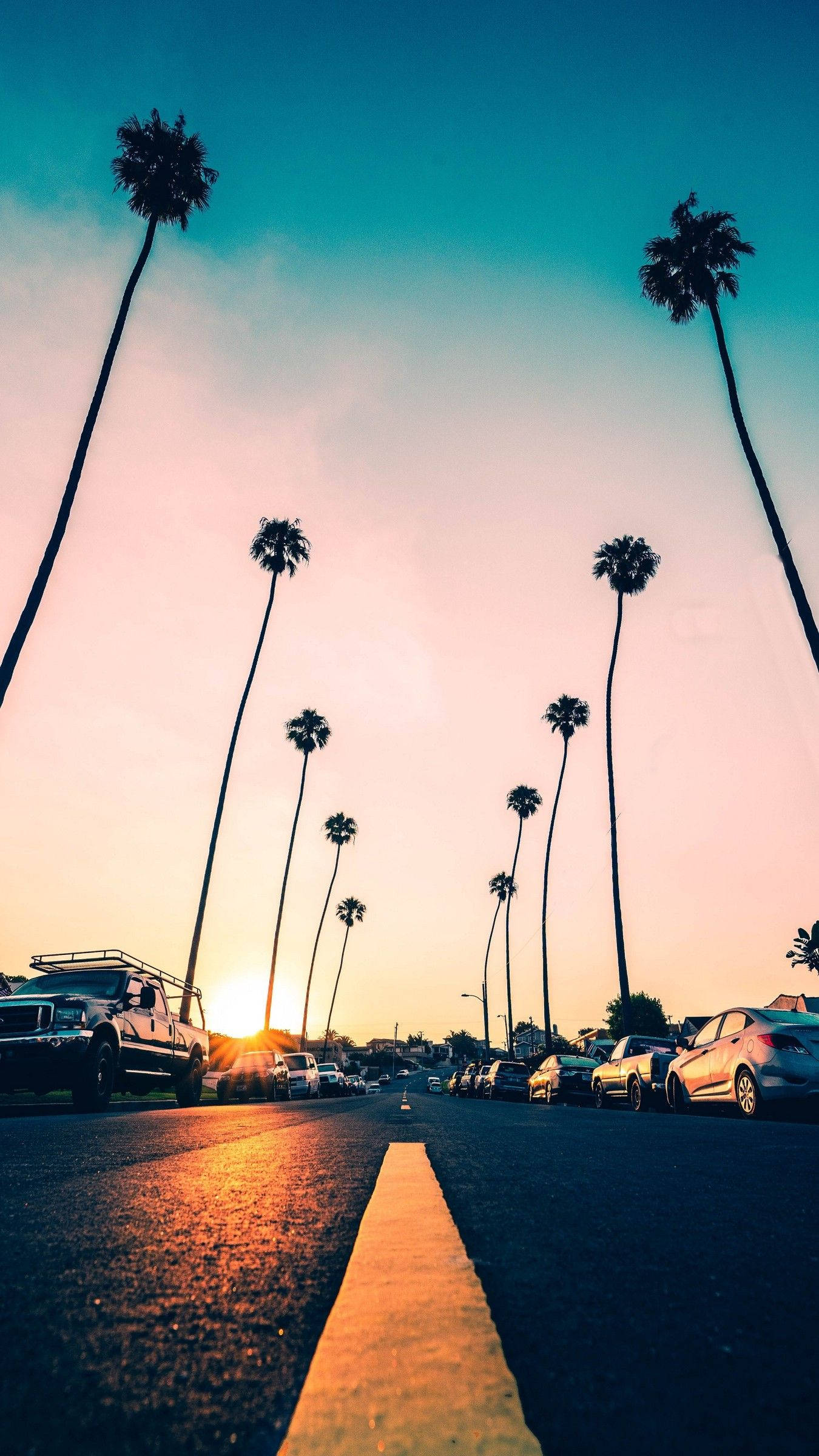 iPhone California, palm trees, cars, Full HD Phone Wallpaper