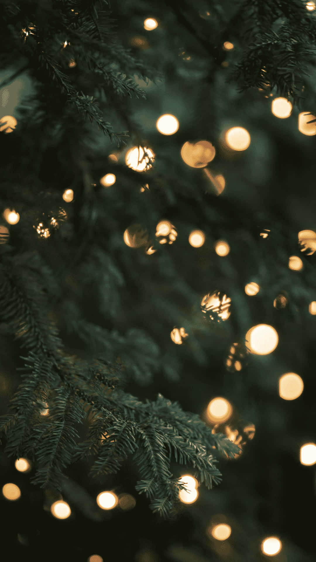 iPhone Christmas Aesthetic, fairy lights, evergreen branches, Full HD Phone Wallpaper