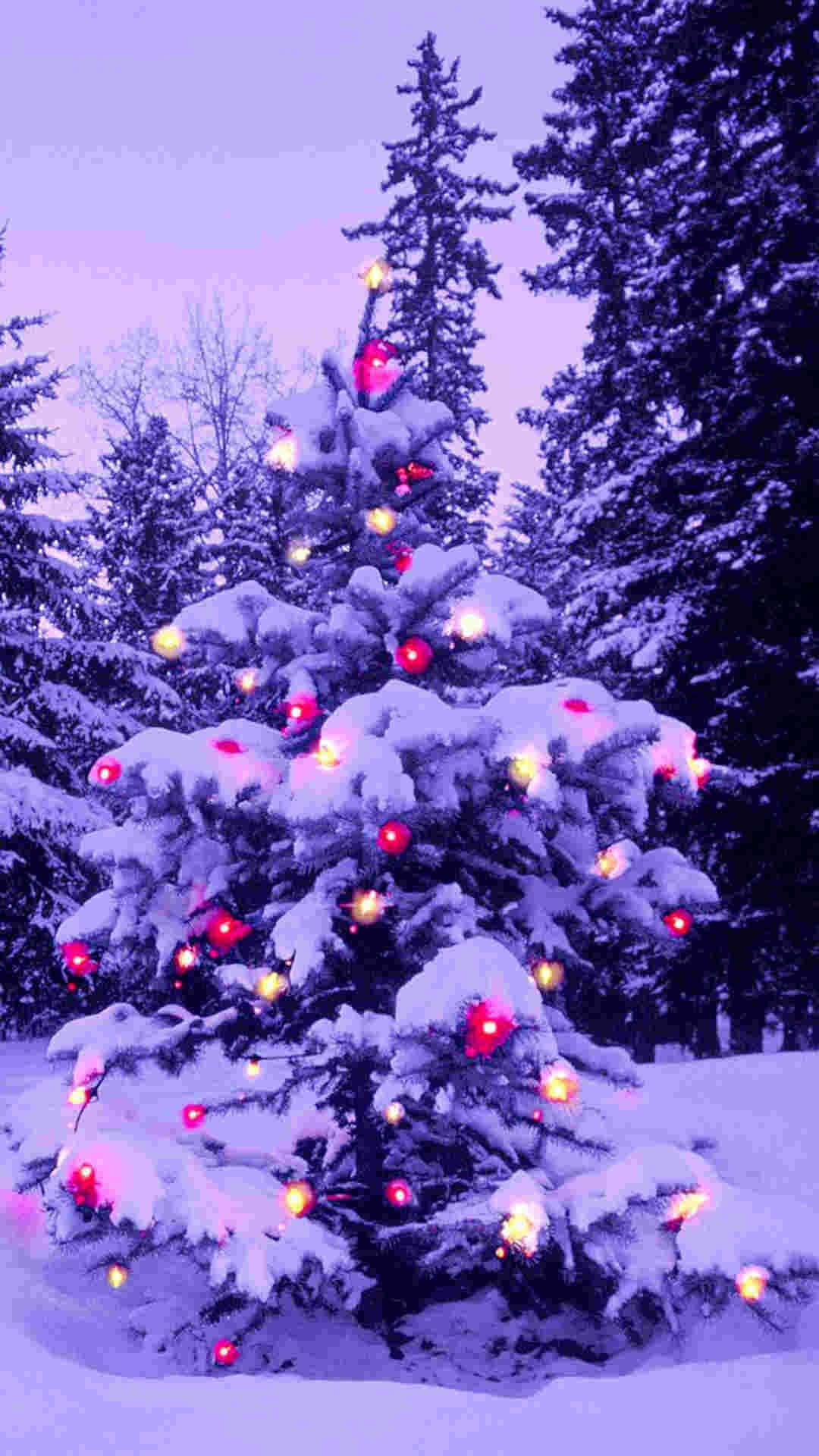 iPhone Christmas Snow, purple twilight sky, snow-covered pine tree, Full HD Phone Wallpaper
