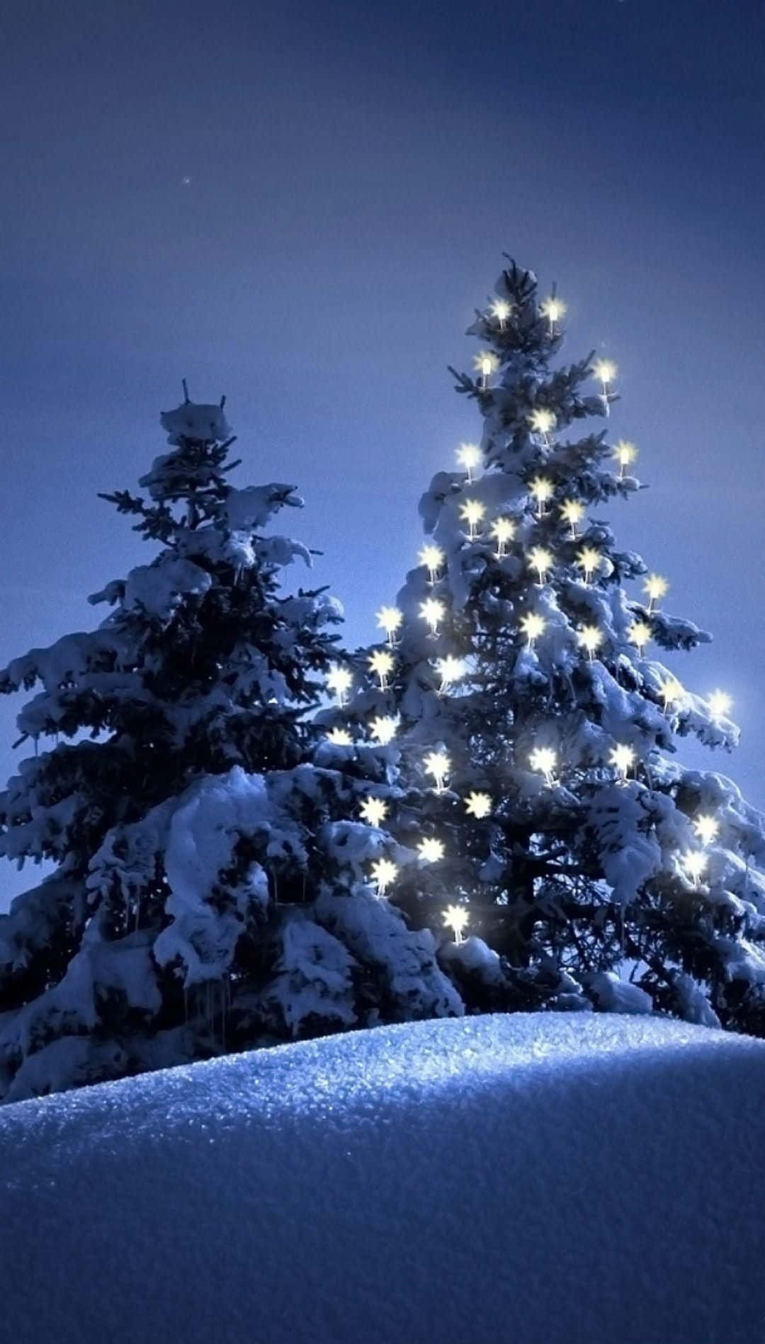 iPhone Christmas Snow, snow-covered pine trees, star-shaped lights, HD Phone Wallpaper