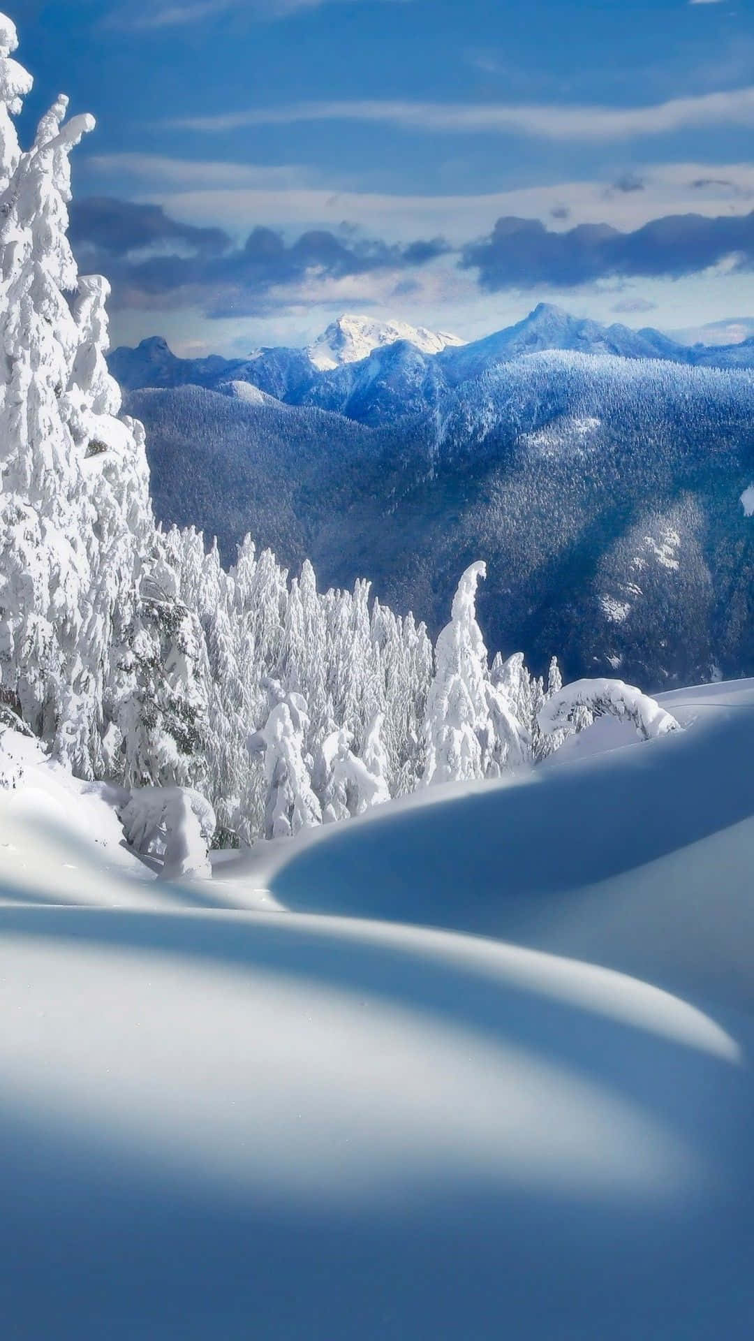 iPhone, Christmas, snow, Full HD Phone Wallpaper