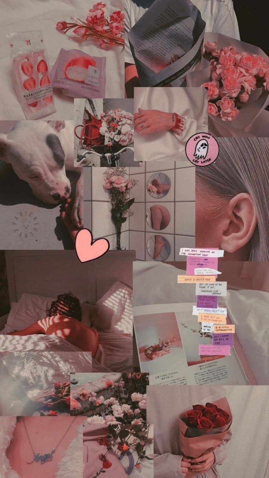 iPhone Collage, soft pink, flowers, HD Phone Wallpaper
