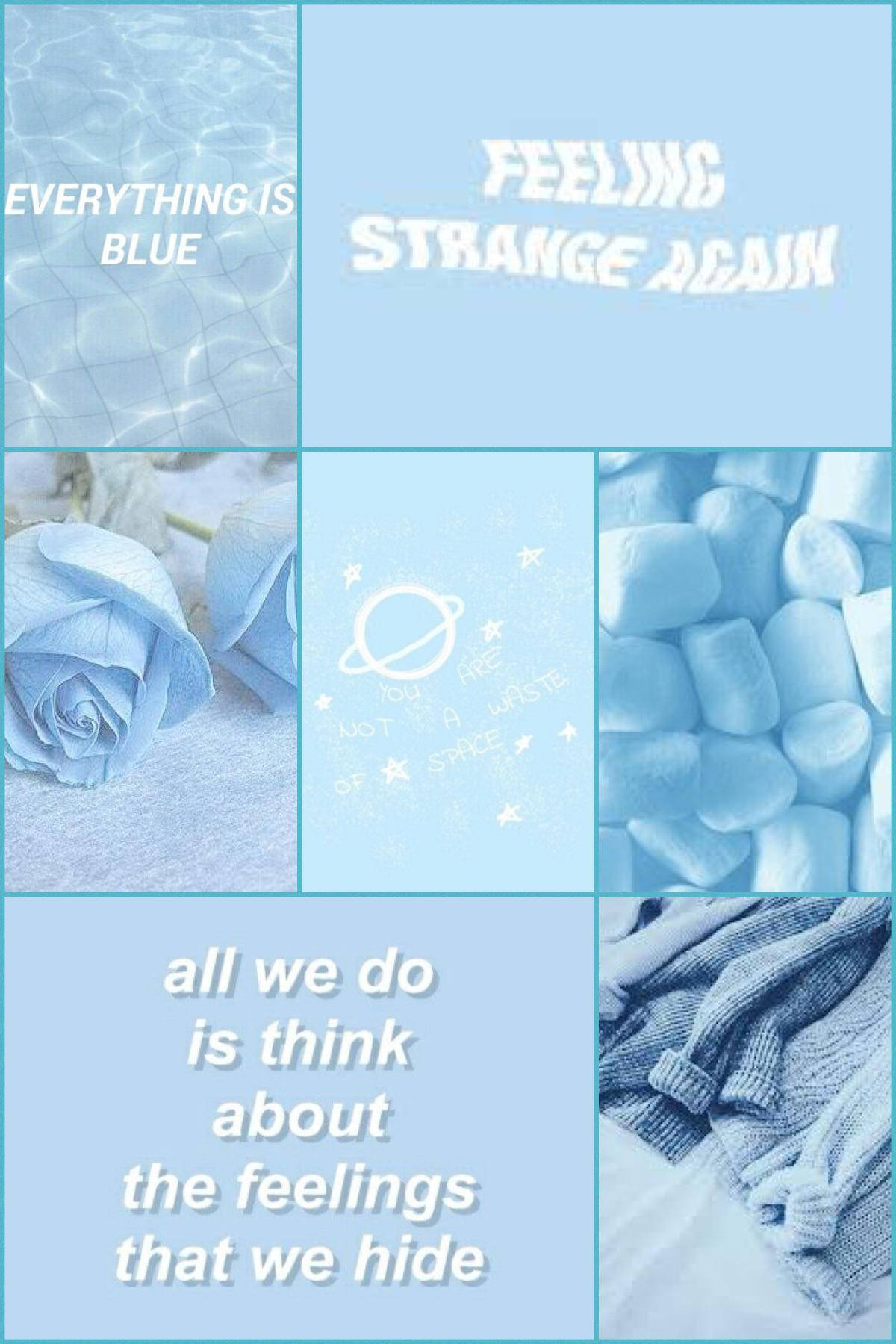 light blue aesthetic, water ripples, roses, HD Phone Wallpaper