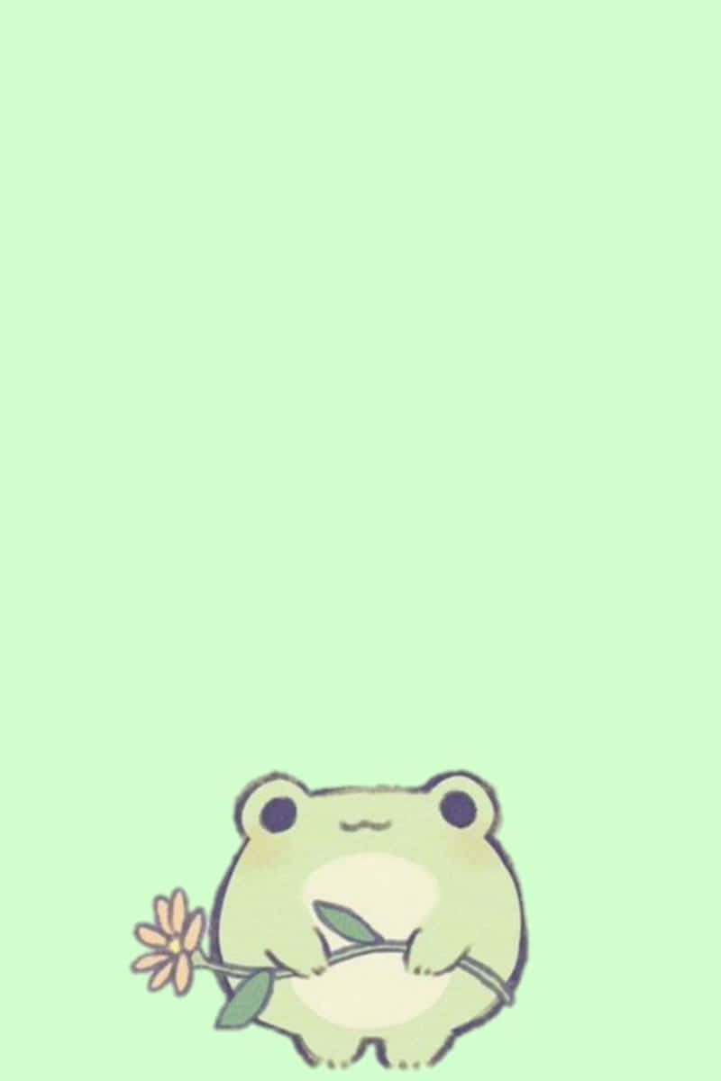 cute frog, flower, light green background, SD Phone Wallpaper