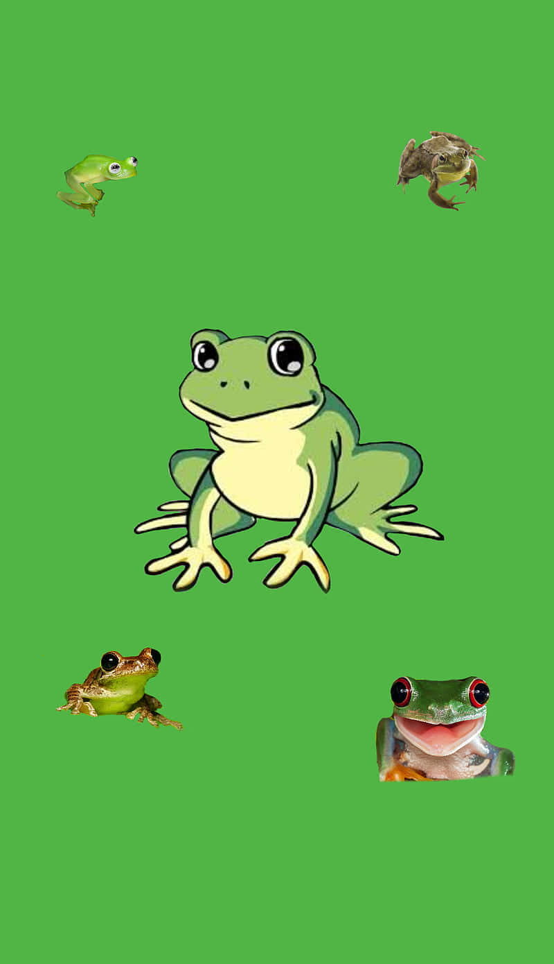 green frog, collage, cartoon frogs, HD Phone Wallpaper