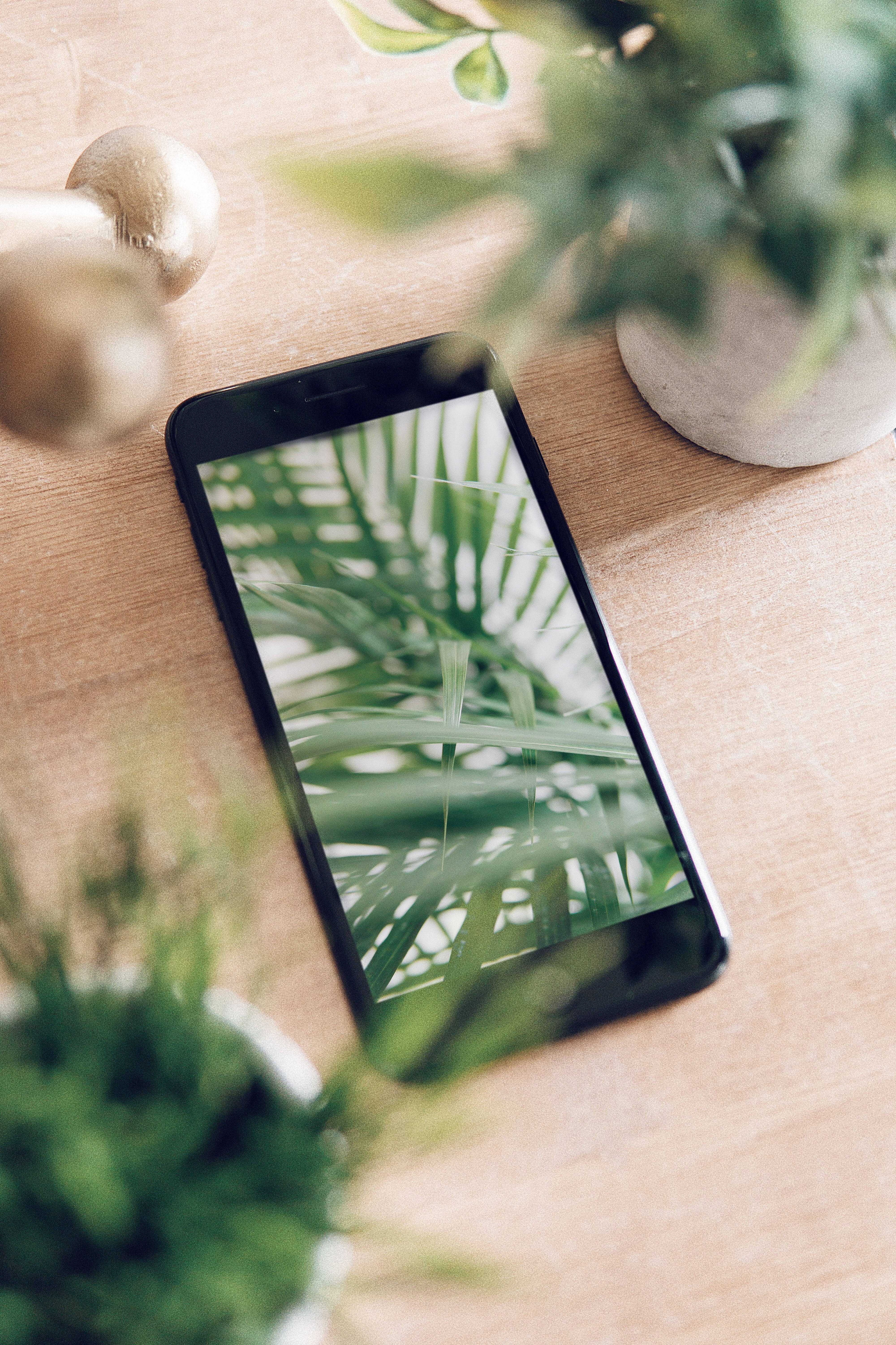 iPhone Desk, palm leaf wallpaper, wooden table, 5K Phone Wallpaper