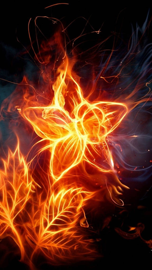 iPhone Star Flower Fire, fiery flower, glowing orange, SD Phone Wallpaper