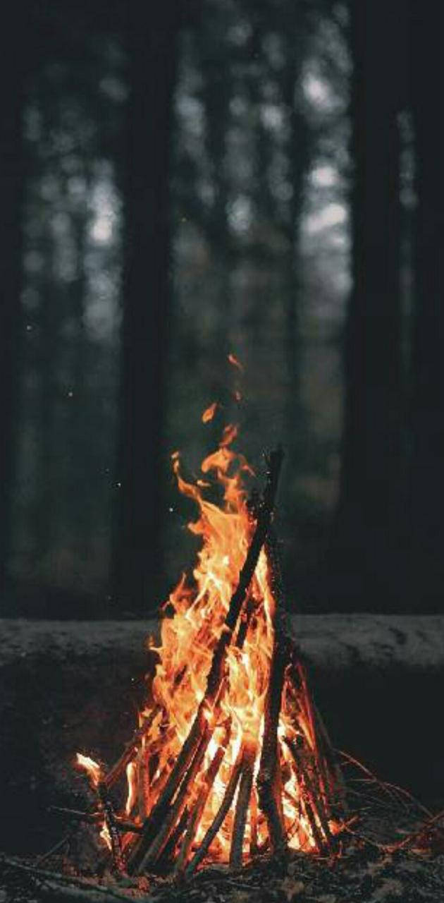 iPhone Fire, campfire, dark forest, HD Phone Wallpaper