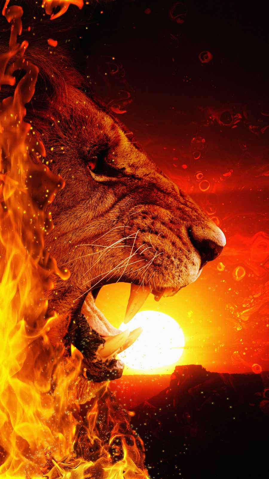 iPhone Fire, lion head, flames, HD Phone Wallpaper