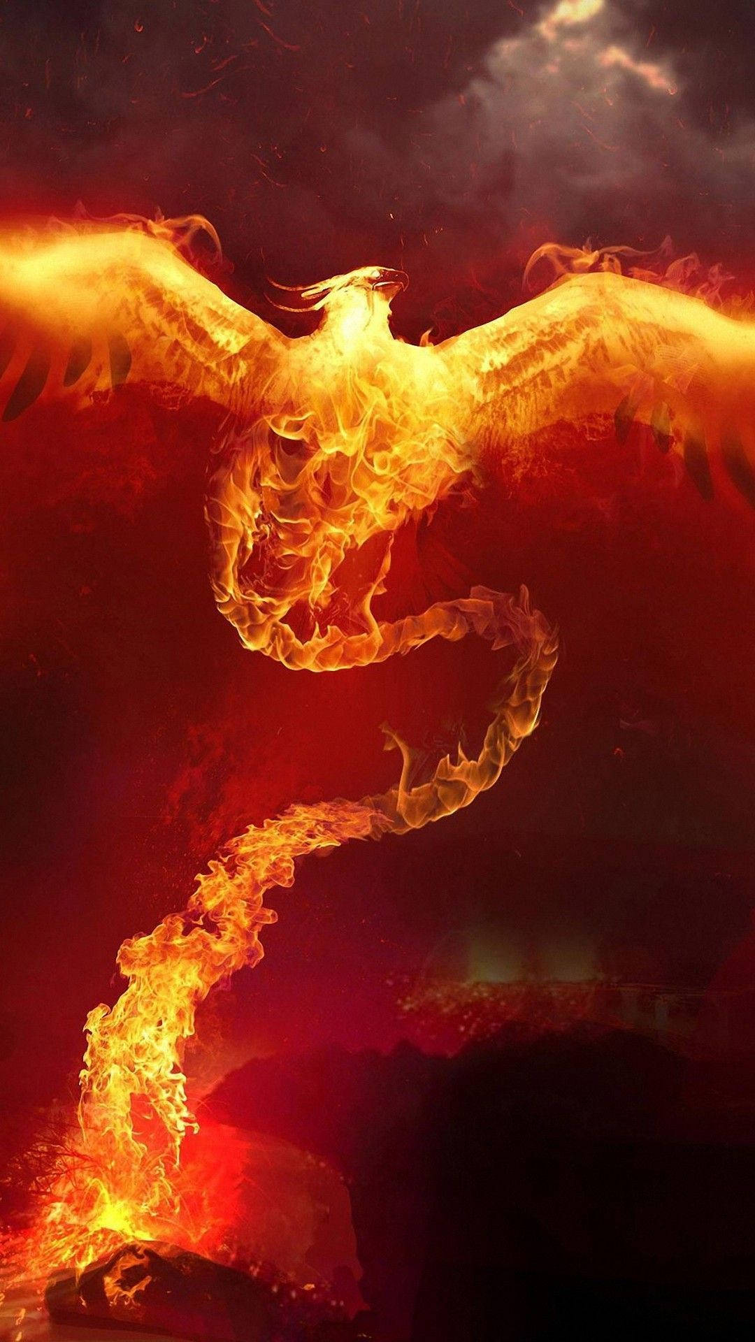 iPhone Fire, phoenix, swirling flames, Full HD Phone Wallpaper